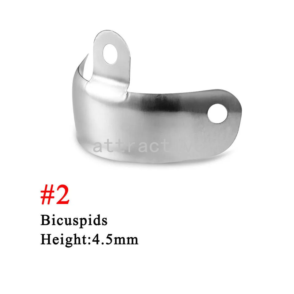 Dental Matrix Bands Ring Sectional Contoured Matrices Tweezer