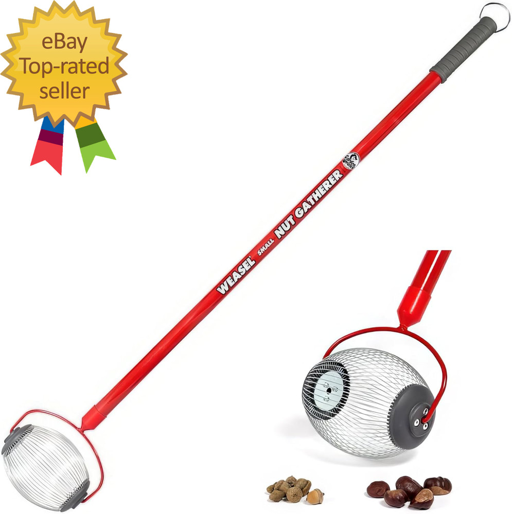 Nut Gatherer  Small Cage  Pick up Small Acorns  Buckeyes