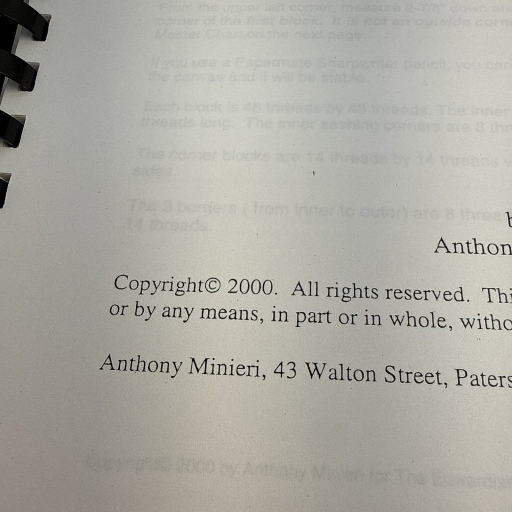 Anthony Minieri Stars For a New Millenium counted needlepoint/canvas pattern