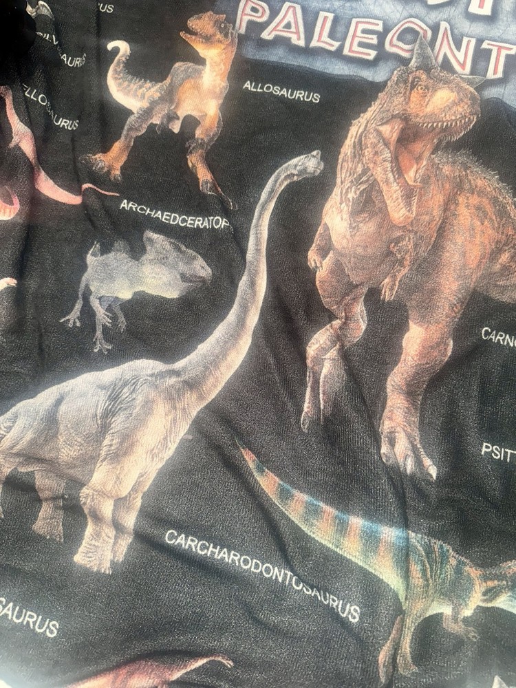 Future Paleontologist Plush Blanket