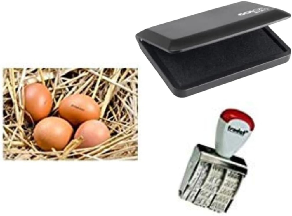 Egg Dater KIT - Includes 3Mm Rubber Date Stamp and Ink Pad Containing Egg Safe I