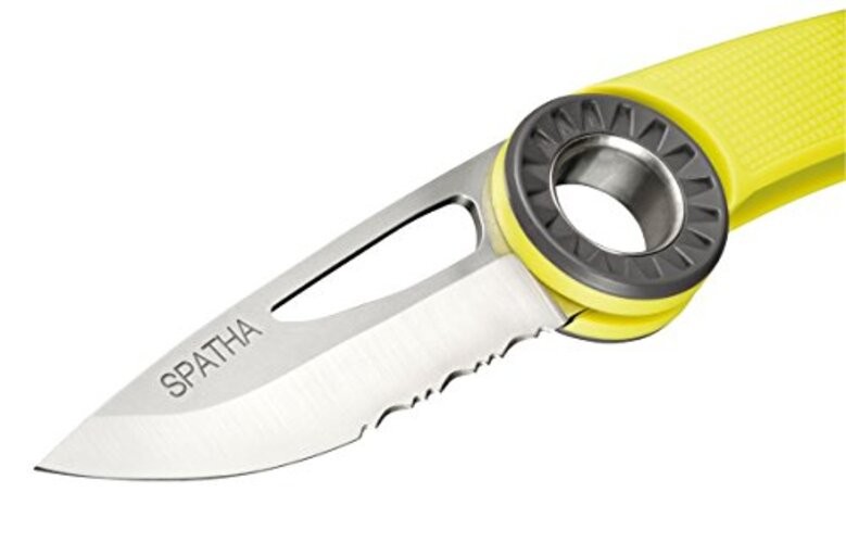 Spatha Yellow