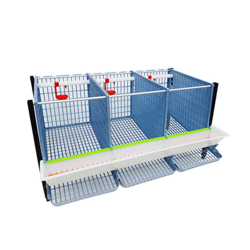 Partridge Cage - Layer addition