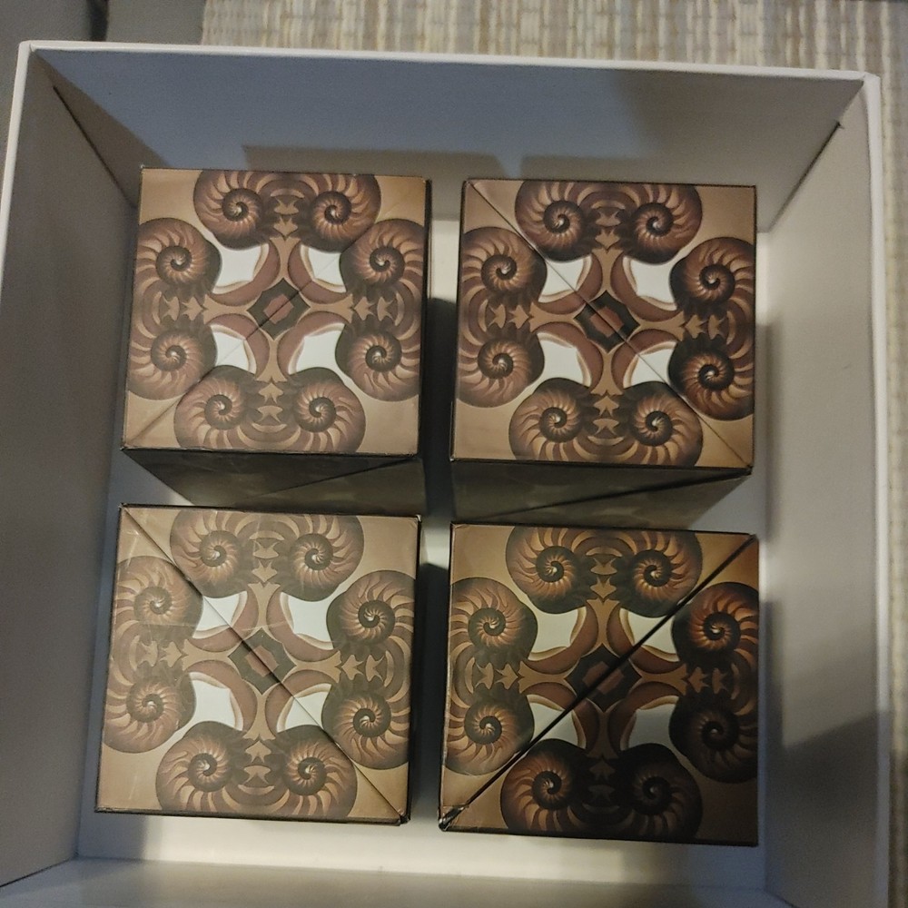 Set of 4 Euclidean Cube Nautilus