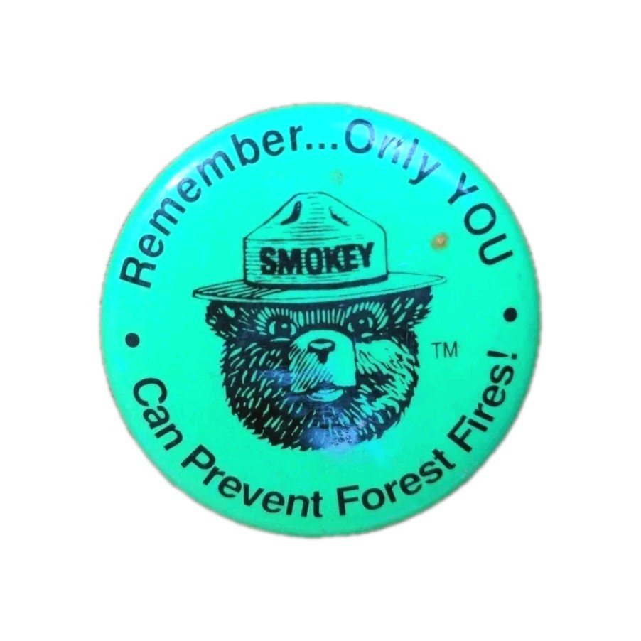 Smokey The Bear Prevent Forest Fires! Pin Back Button VTG