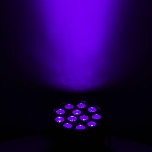 ADJ Eliminator Lighting Mini Par UV LED Blacklight Par