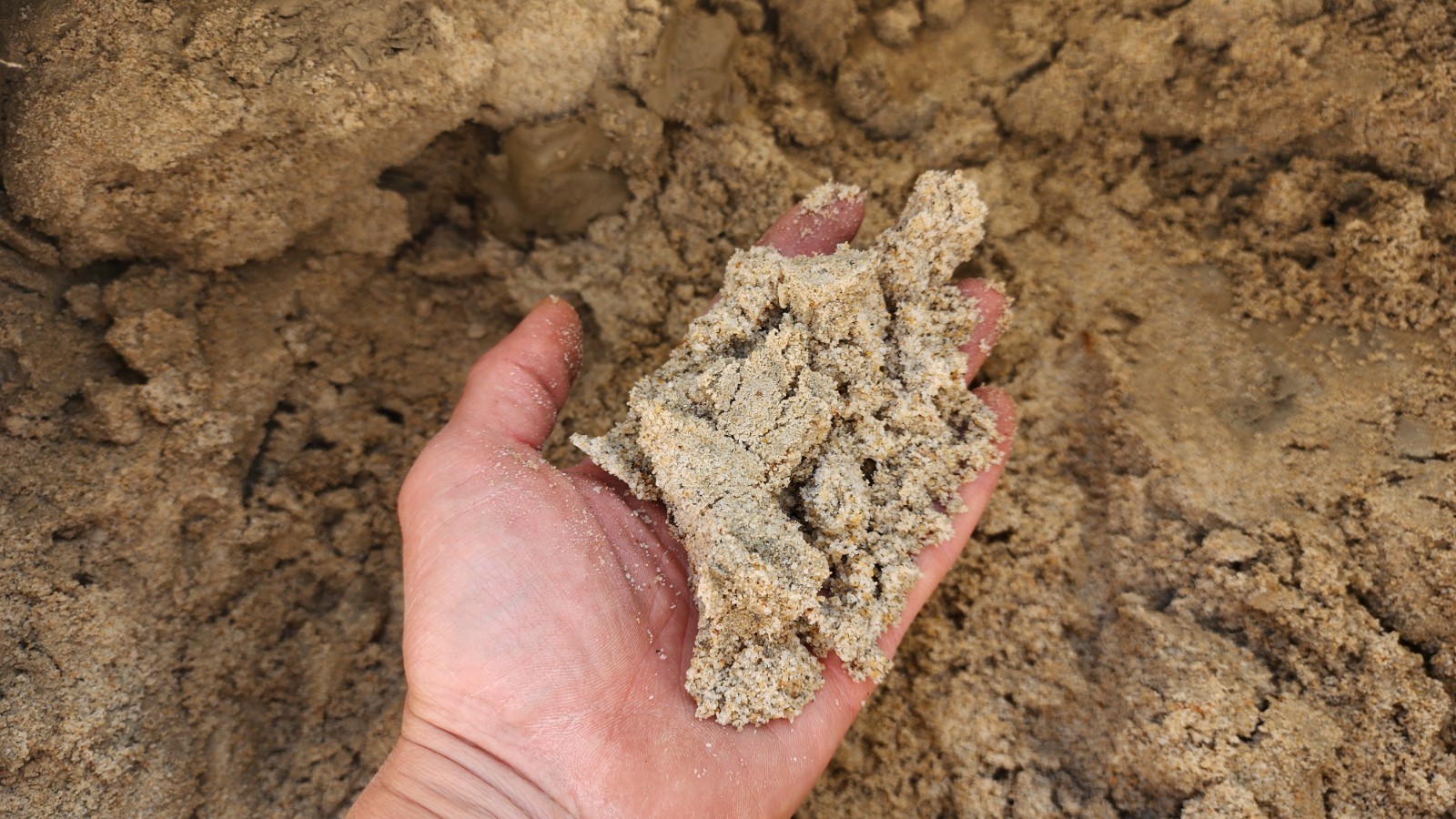 20+ lbs **Crushed & Pulverized** Gold Ore From Jason's New Gold Mine!