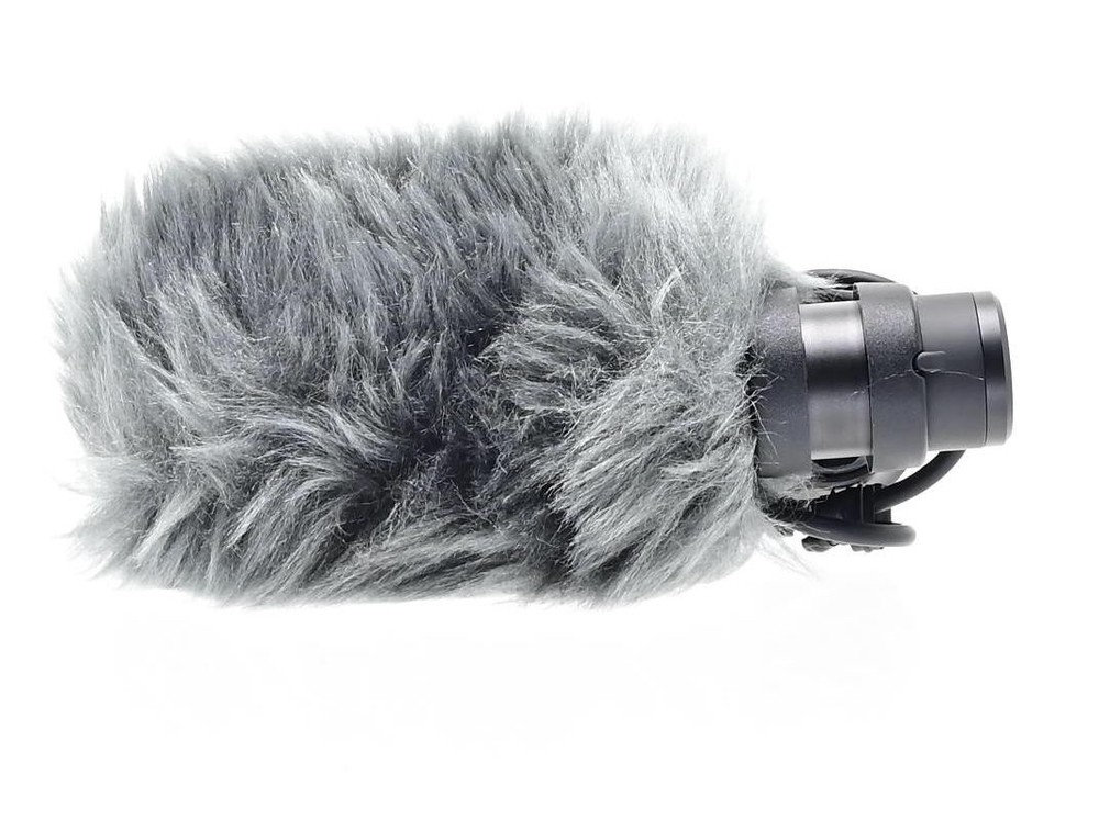 Canon DM-E100 Directional Microphone
