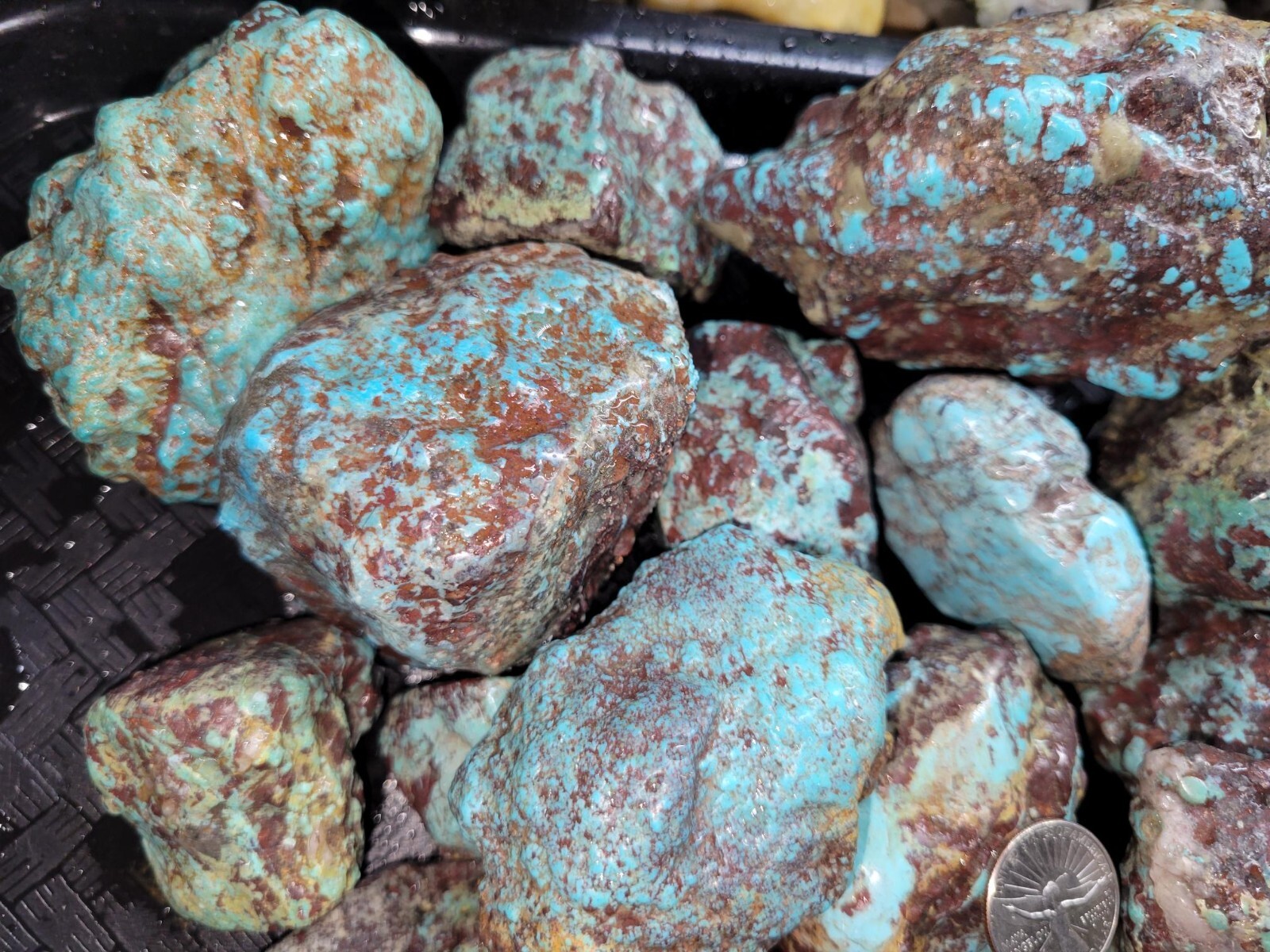 RARE Large Natural Bisbee Arizona Turquoise Rough Nuggets Half Pound