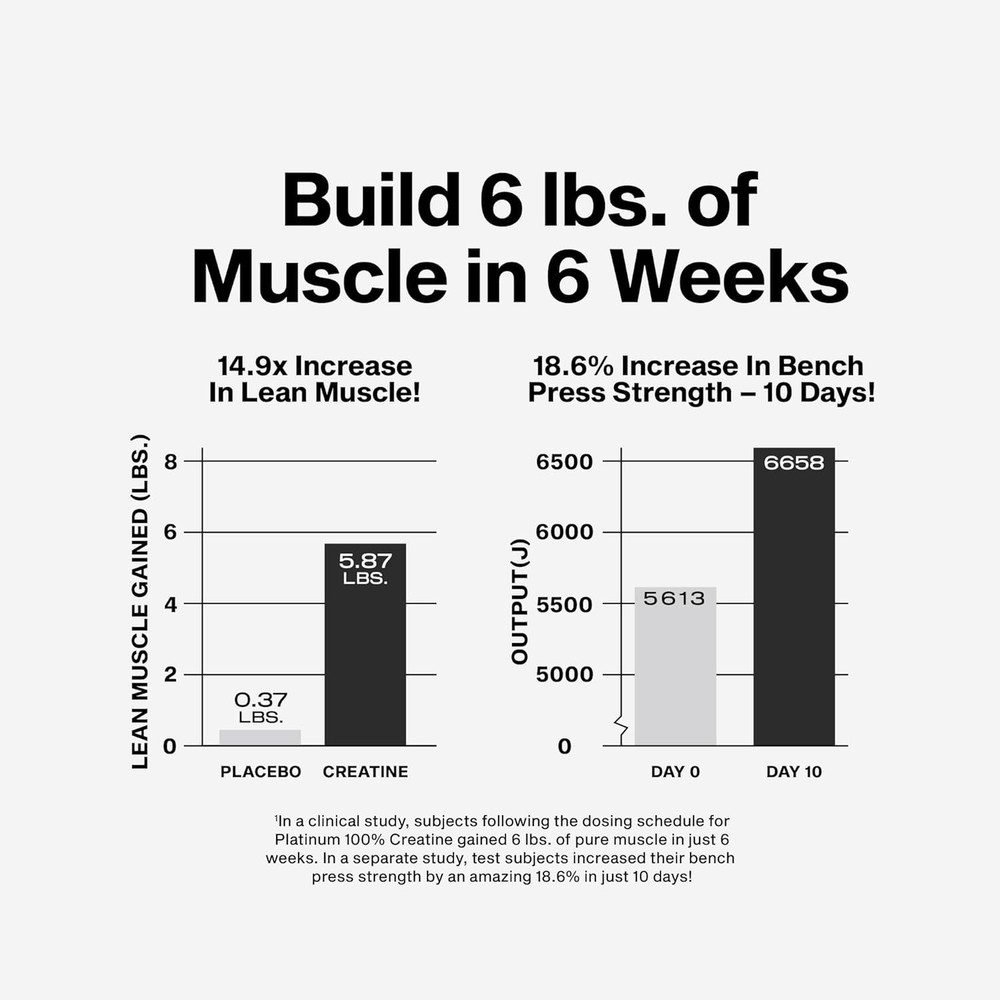 Micronized Creatine Supplement - Muscle Recovery & Builder-