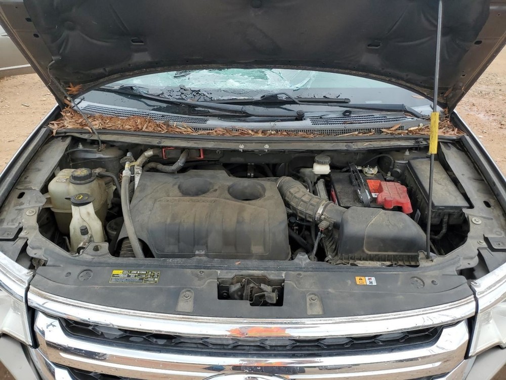 EDGE 2013 Glove Box 4889861