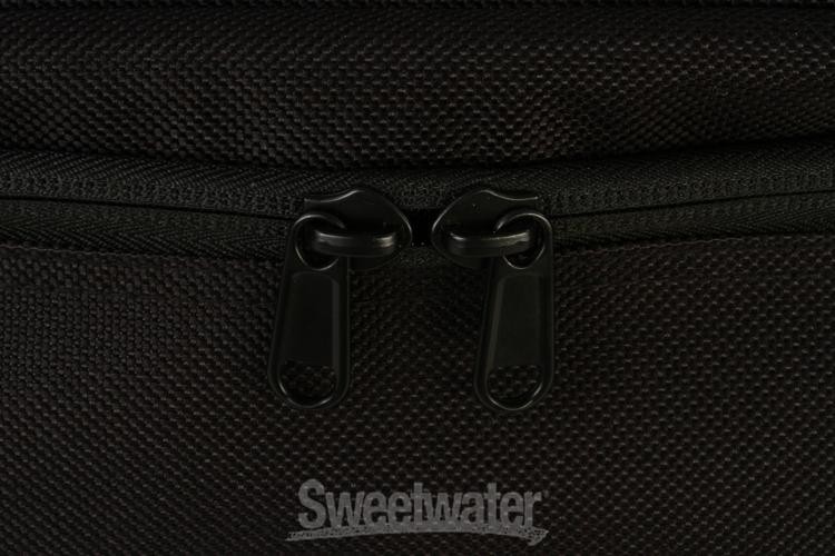 Fishman Deluxe Carry Bag for Loudbox Mini/Mini Charge