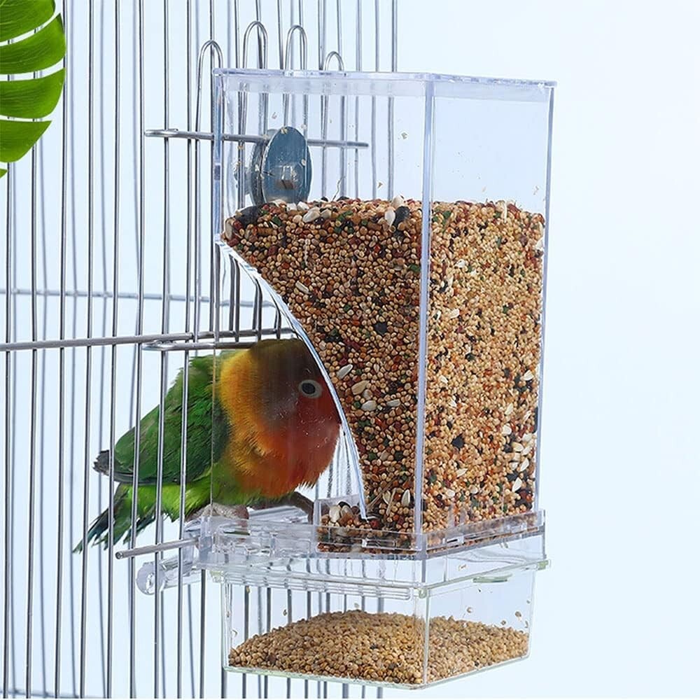 Transparent Automatic Bird Seed Feeders for Parrots - 2 Pack with Perches