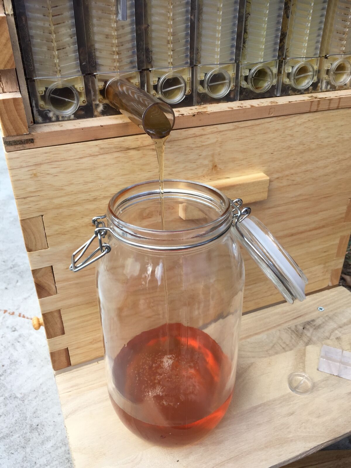 7Pcs Auto Seeping Honey Hive Beehive Frames + Beekeeping Wooden Cedarwood House