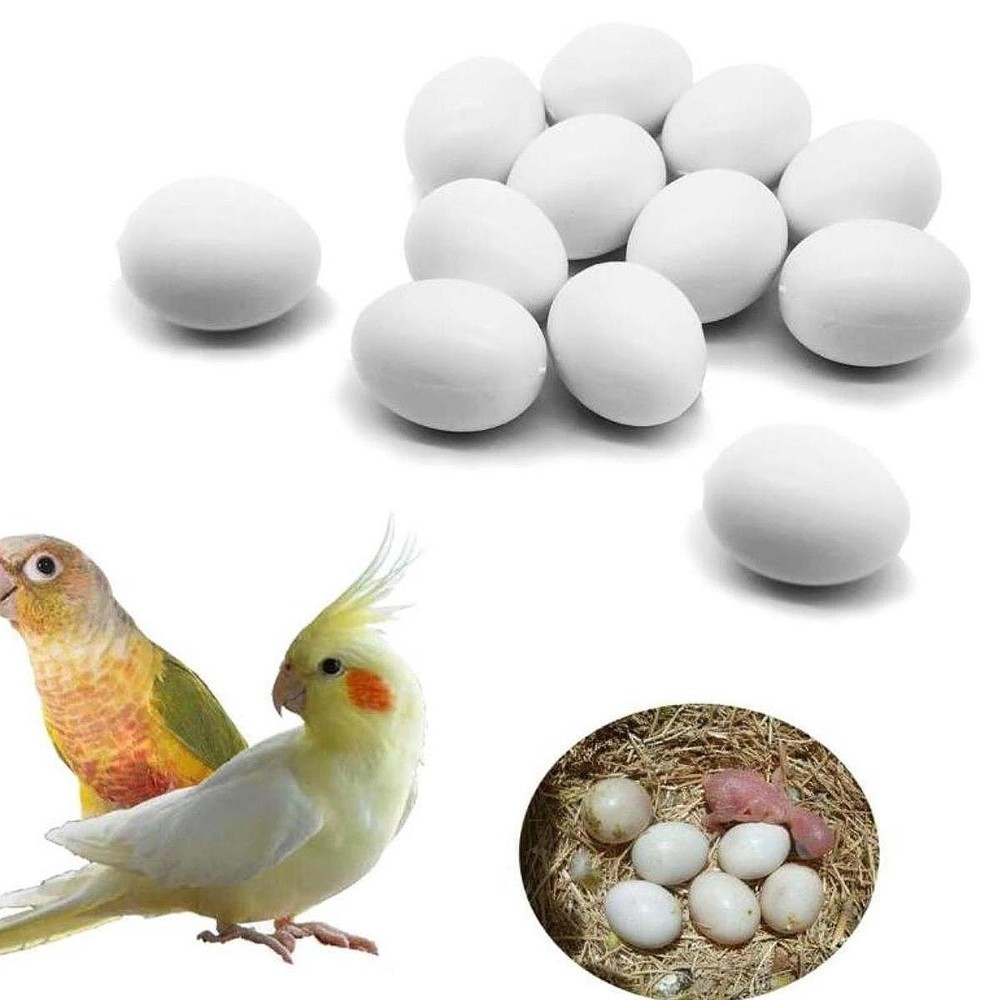12Pcs Solid Pigeon Eggs Artificial Eggs White Poultry Supply Dove False Eggs for