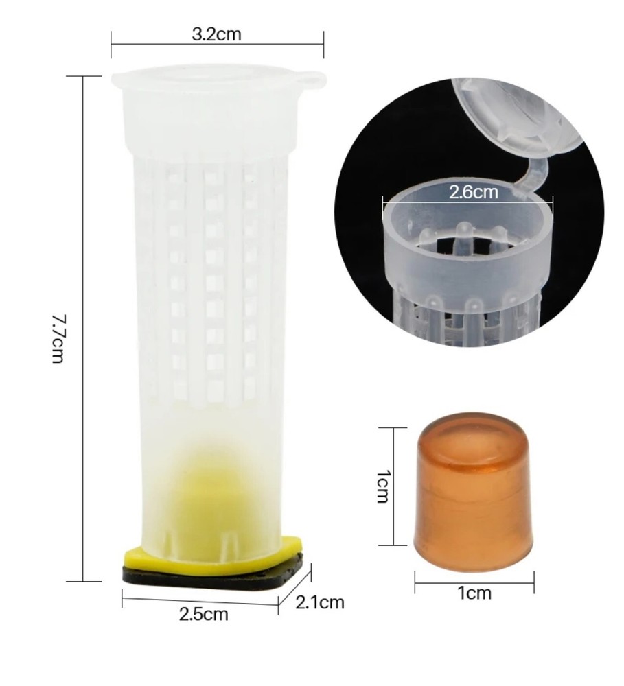 Beehive queen Rearing kit