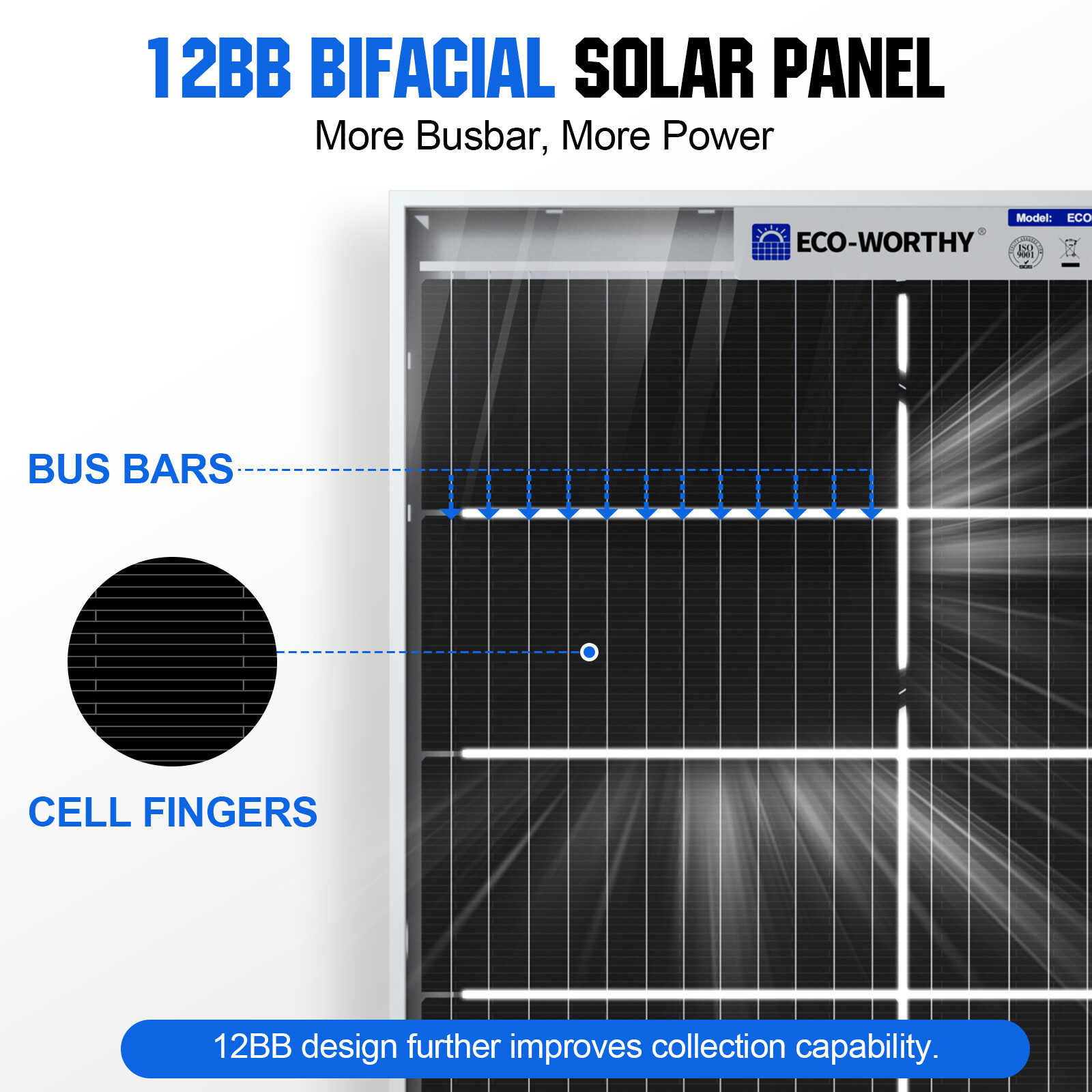 ECO-WORTHY Bifacial 195W Watt 12V Solar Panel Mono HighEfficiency PV for Sunshed