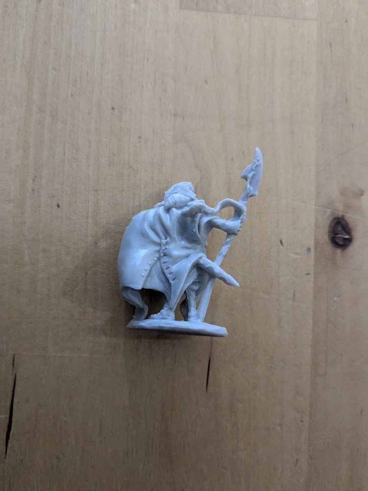Reaper Bones Valandil, Human Wizard