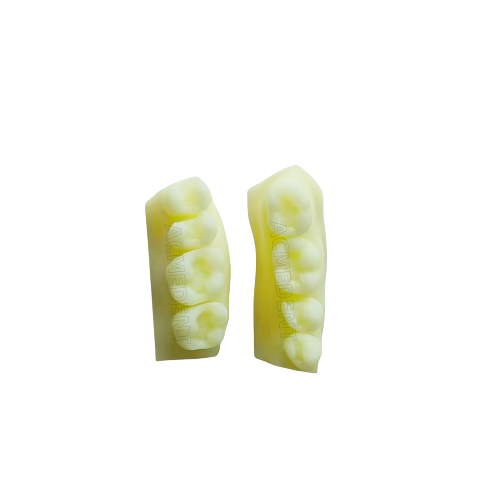Dental Caries Decay Teeth Model Tooth Simulate Class Ⅱ Resin Restore Template