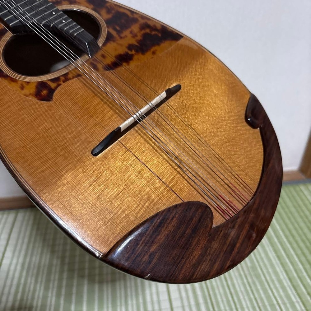 Raffaele Terada Musical Instruments High End Mandolin RM-3 String Used From JPN
