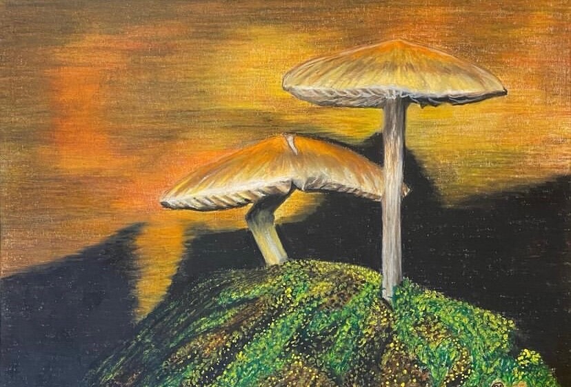 Fungi Toadstools A4 Original Crayon Art Drawing Unframed