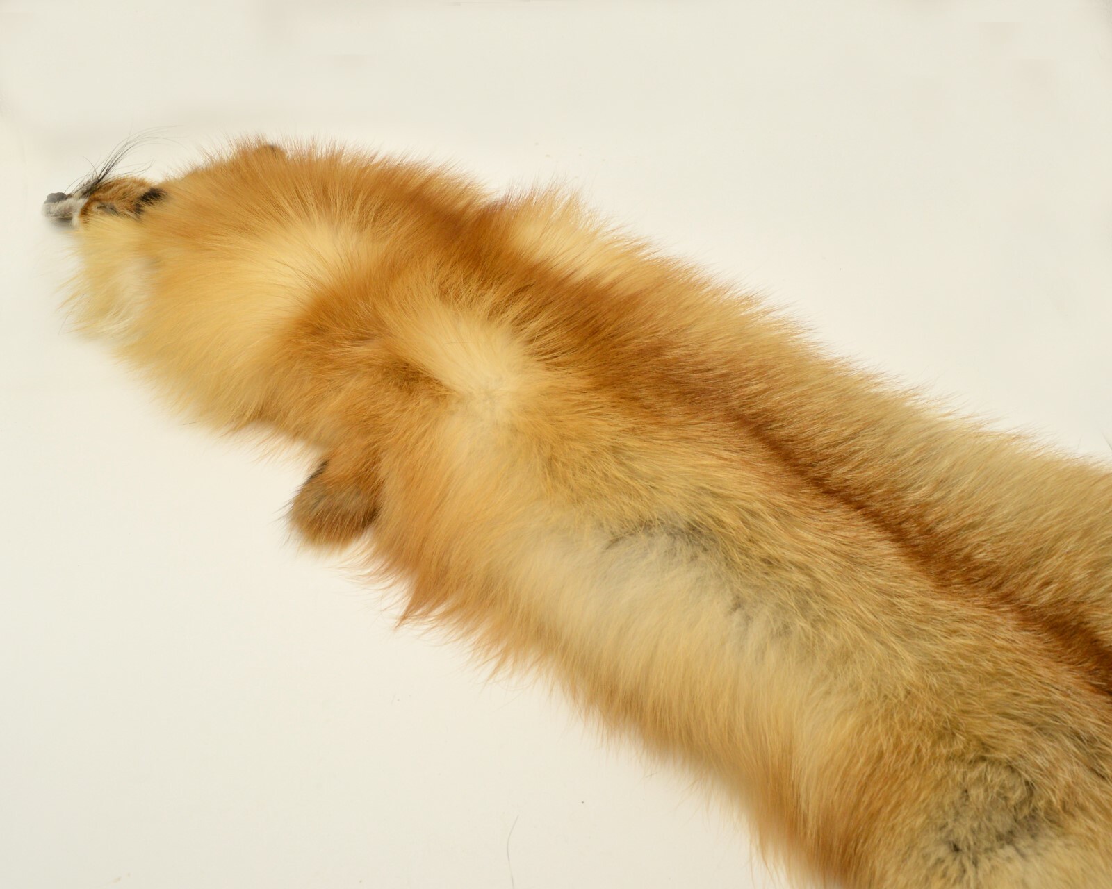 Tanned Red Fox Winter “Heavy Fur” Western XL Pelt, Hide, Medium Grade (rfwhmg)