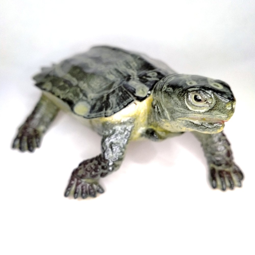 Geoemyda ? Notched turtle by AAA solid rubber figure tortoise A.A.A. NEW
