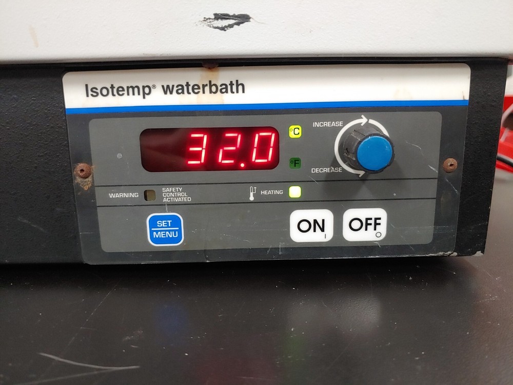 FISHER SCIENTIFIC 20L-M Isotemp Waterbath