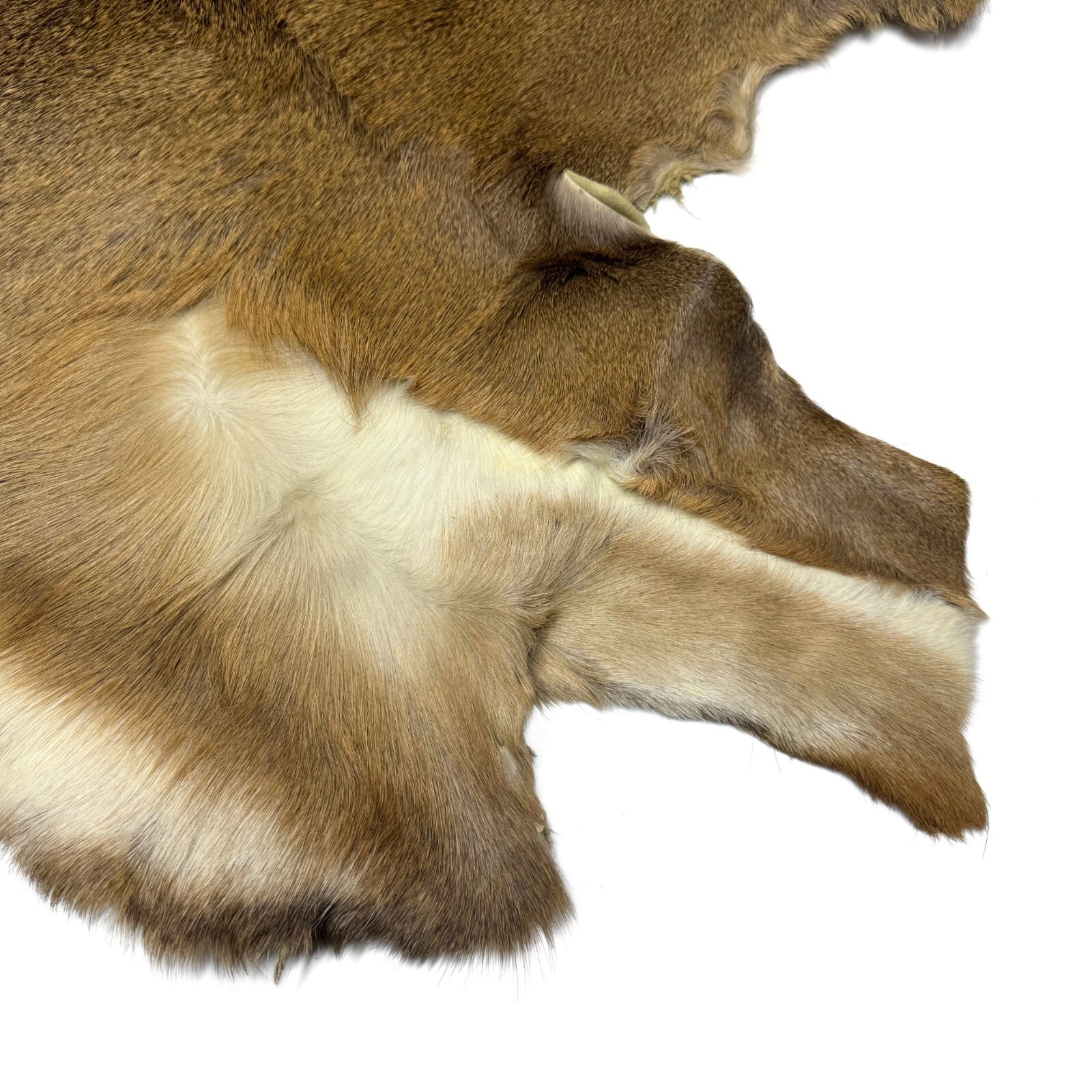 Hair On Deerskin Hide Rug - Tanned Deer Hide with Hair - Grade A to C