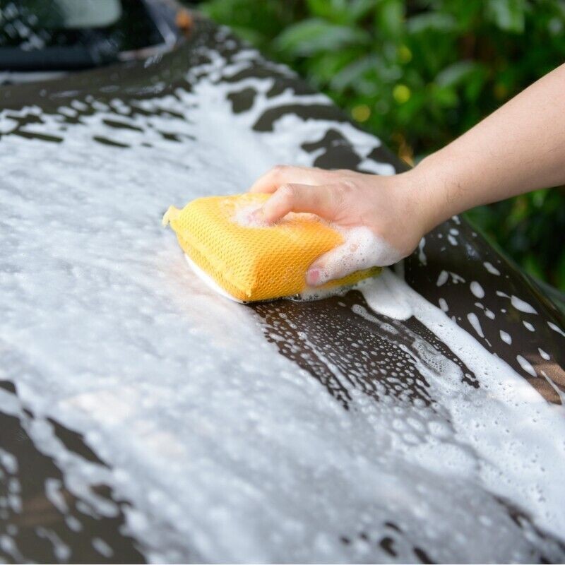 CarCarez Mesh Bug Sponge, Car Wash Sponge for Cleaning Bugs and Tar