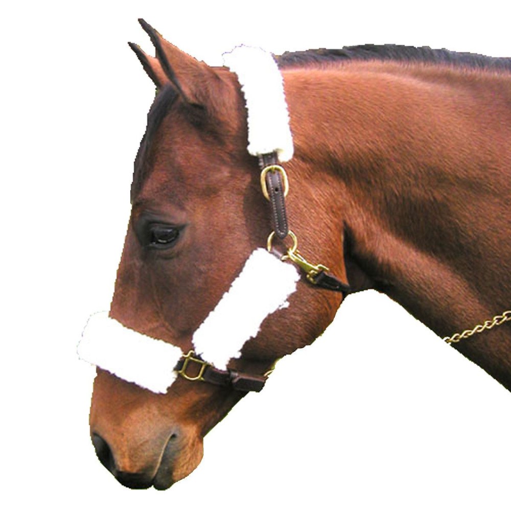 Fleece Halter Tube 4 Piece Set