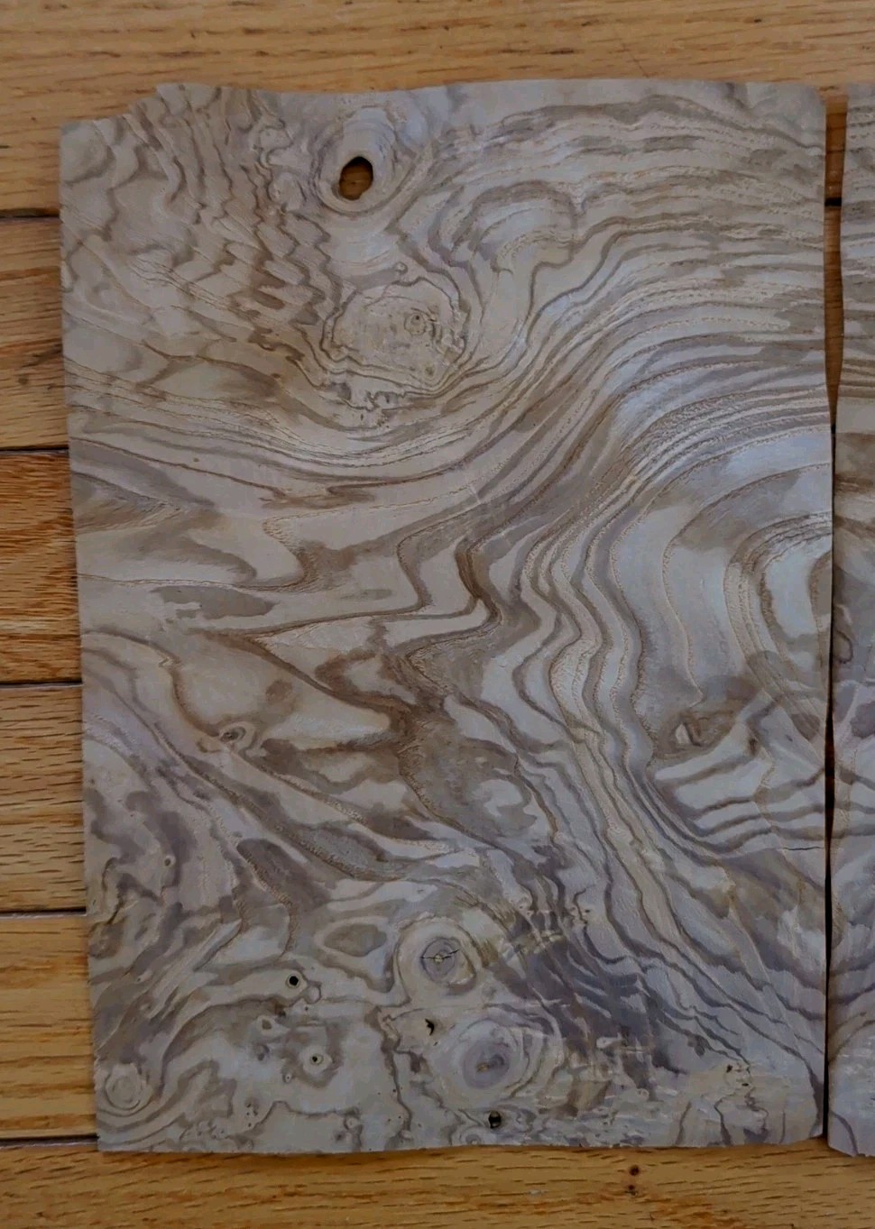 Olive Ash Burl veneer 2 pcs 10 1/4" x 7" ea raw 1/42 wood Buckled lil crack