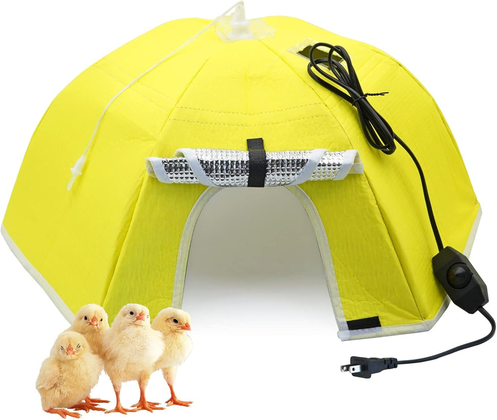 Large Chick Brooder Heating Plate Chick Brooder Box 21.6" Heat up to 50 Chicks,