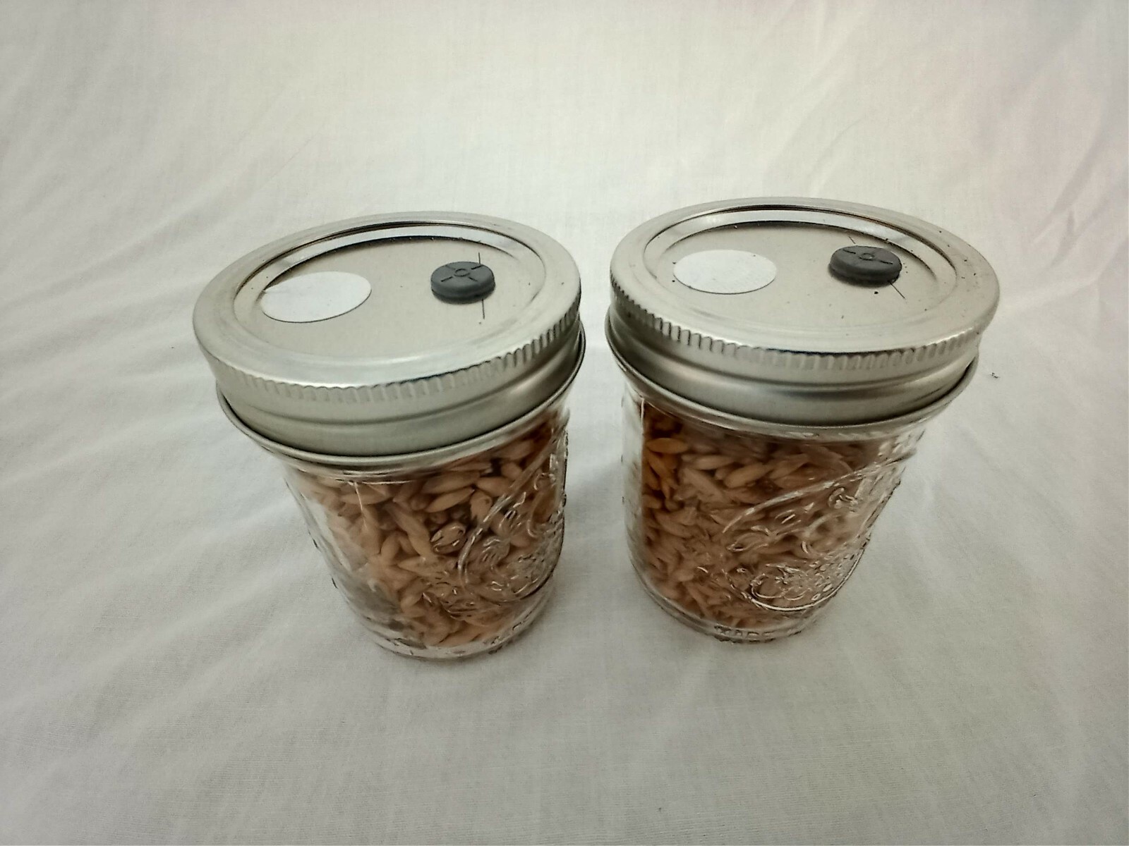 1/2 PINT Mushroom Jars READY Sterilized Substrate Grain Grow Fast SHIP [C]