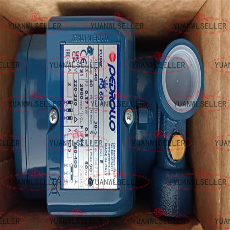 1x NEW PEDROLLO PQ60 380V Water Pump