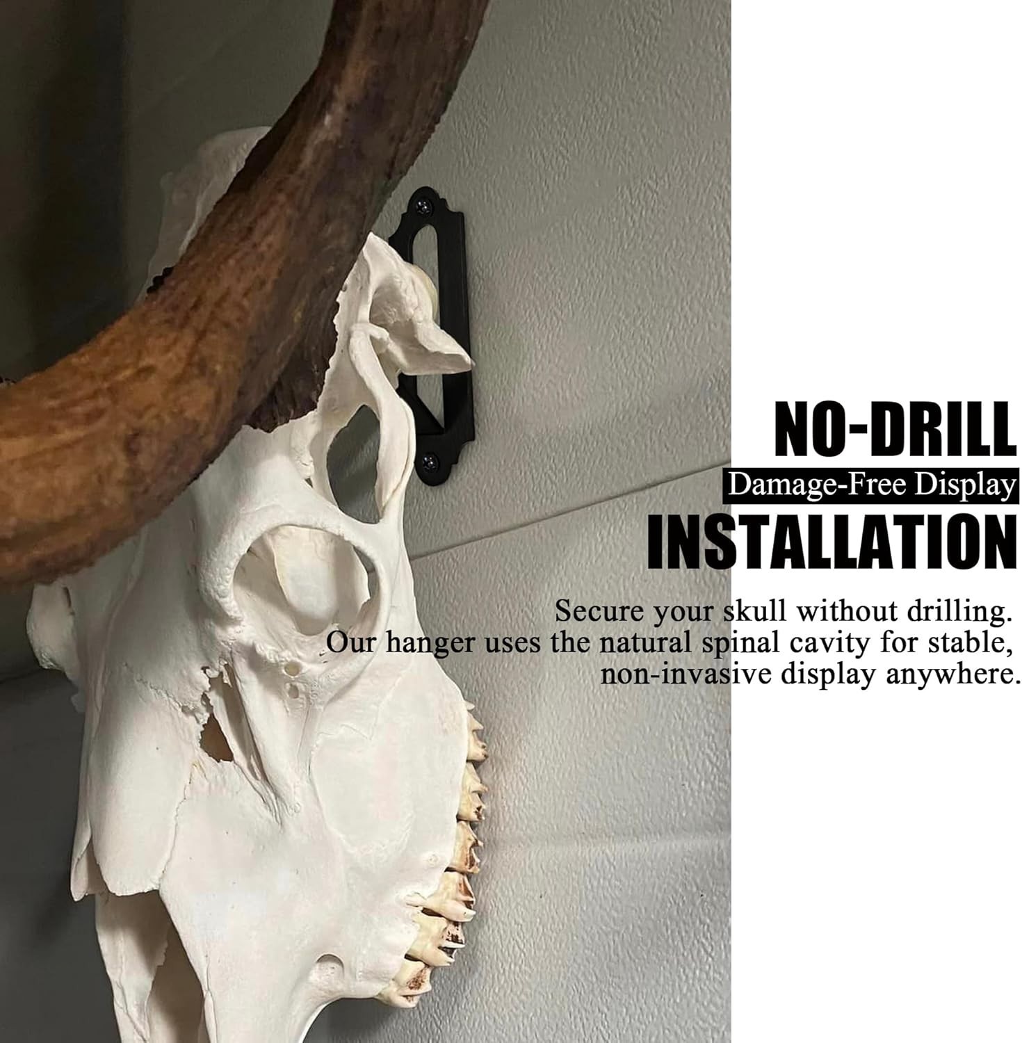 Heavy Duty Euro Skull Hanger for Deer, Bear & More - Simple Installation