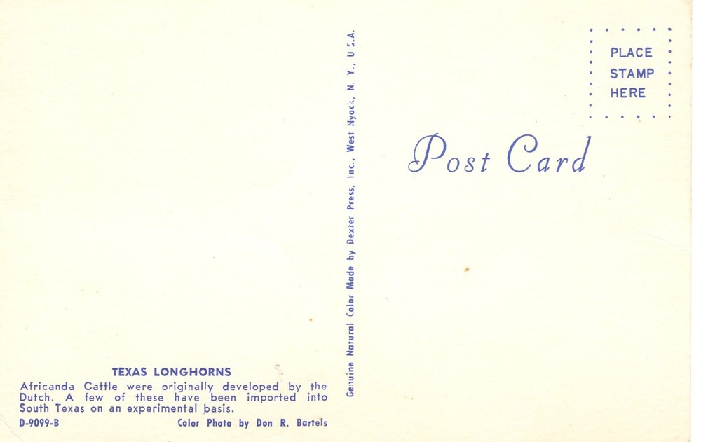 TEXAS LONGHORNS - PC3603