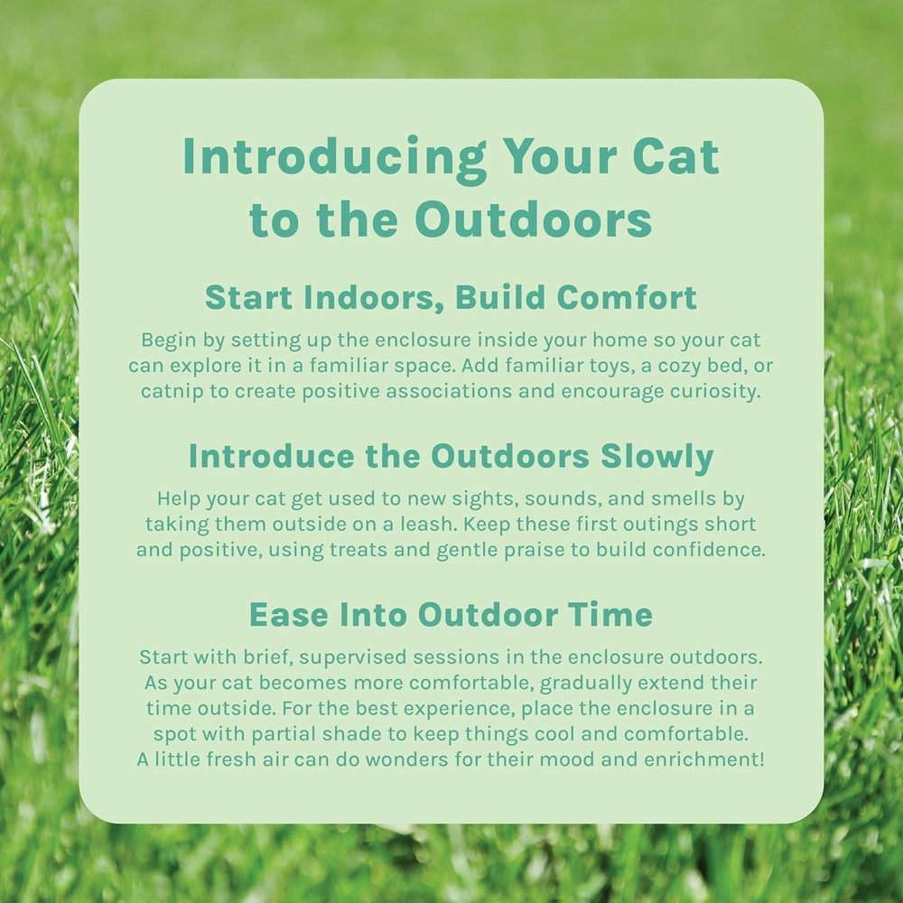 Portable Cat Playpen with Cubby Cubes