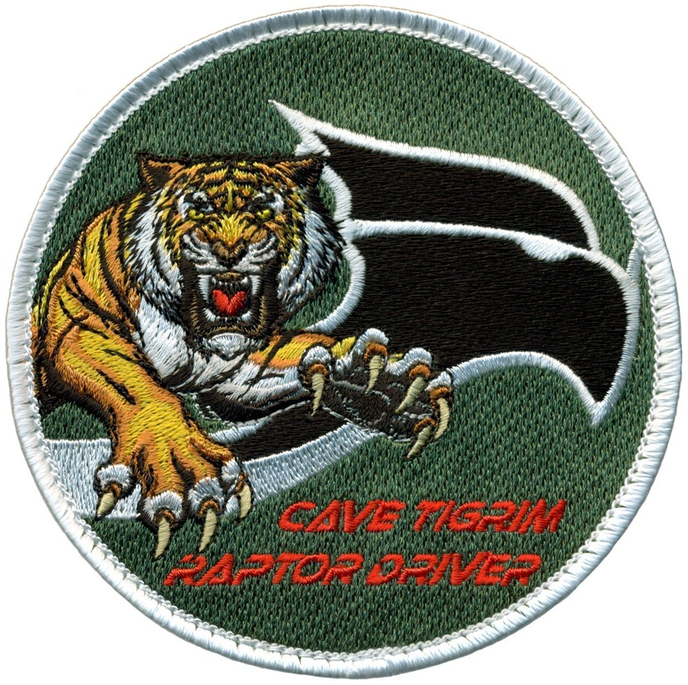 USAF 460th TES & EVALUATION SQUADRON F-22 RAPTOR DRIVER PATCH