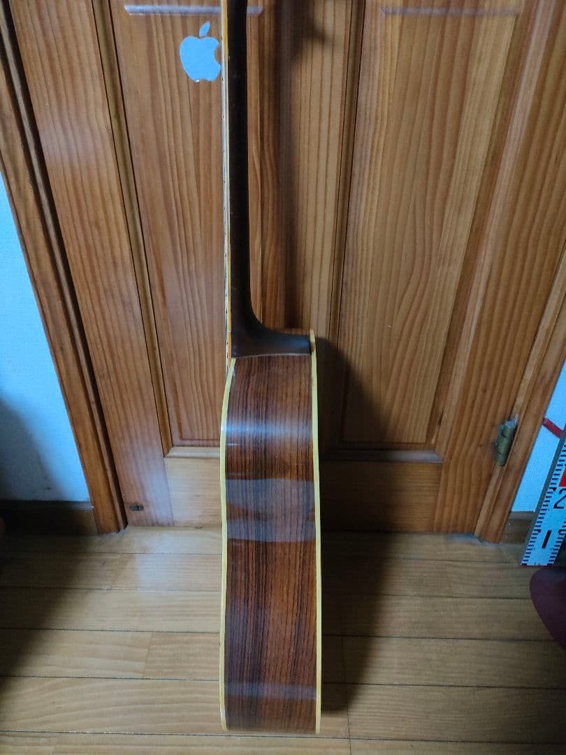 Takamine Elite TW-25 Vintage 1970s Acoustic Guitar Japan