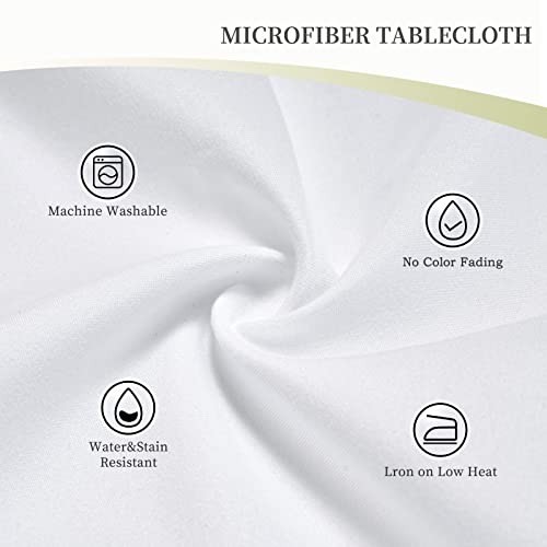 Squirrels Pine Cone Tablecloth Rectangular Table Cloth Table Cover Squirrels 1