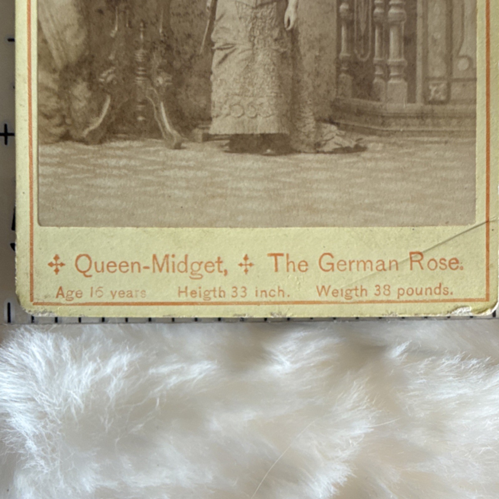 Chas. Eisenmann Carte de Visite Albumen Photograph Queen-Midget Sepia New York