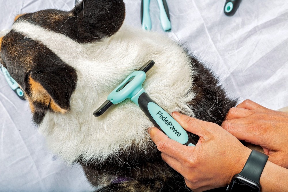 PixiePaws™ 6 Piece Pet Grooming Set - 530004E