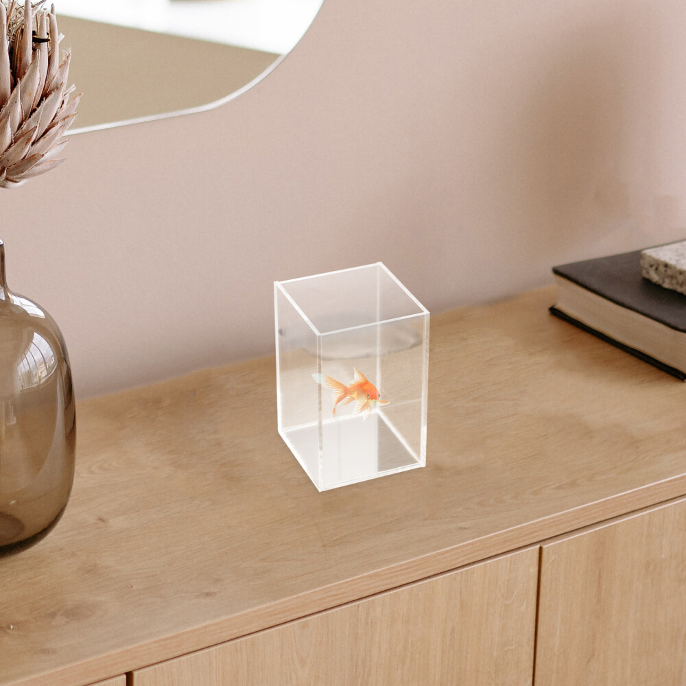 Desktop Fish Tank Small Aquarium Betta for Acrylic Medium Office