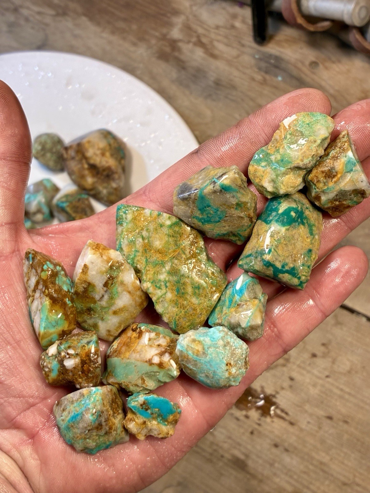 1 Lb of Skinny Turquoise Mountain Nugs! Now Available Again! ￼