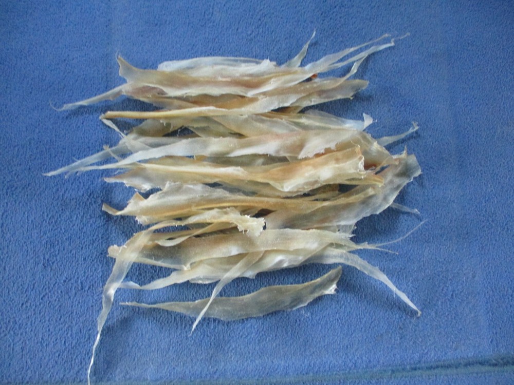 10 real deer back sinew XXL native thread bow backing sewing for beading T1