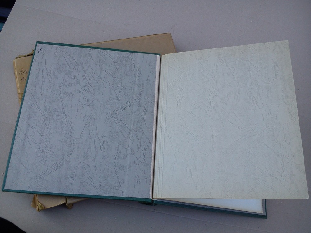 Stanley Gibbons Springback New Age Stamp Album Folder Binder Storage Green EMPTY