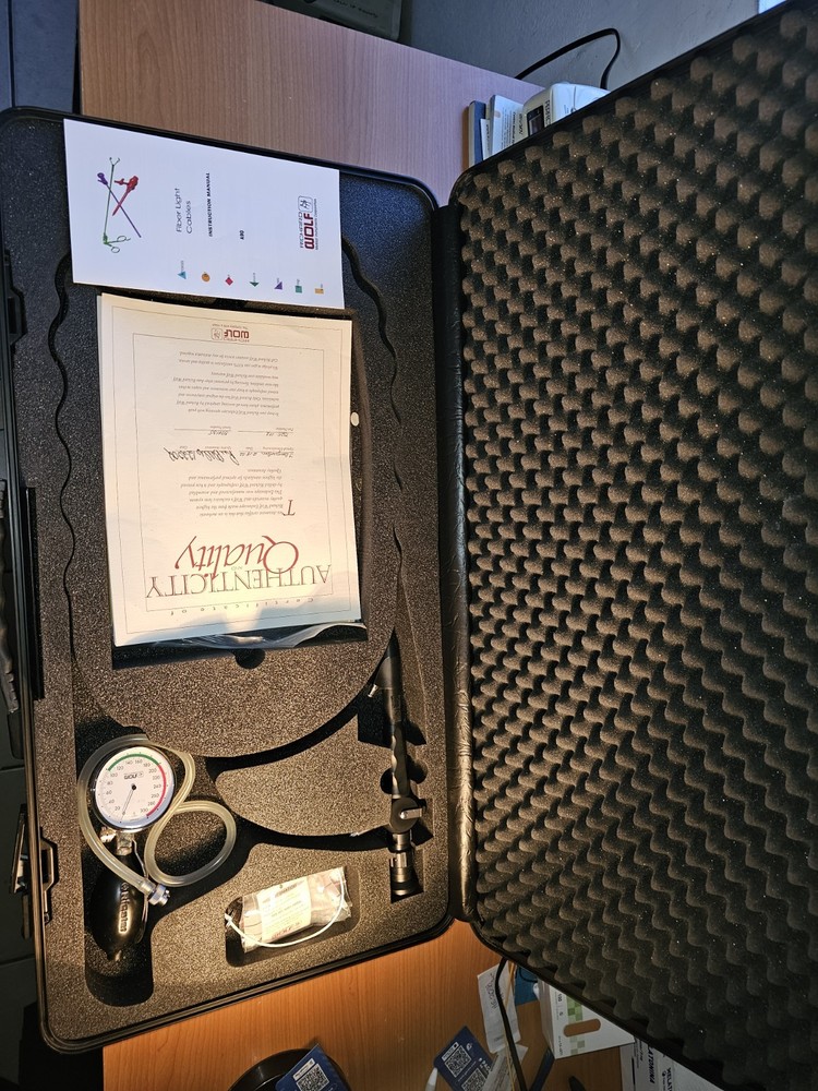 richard wolf endoscope