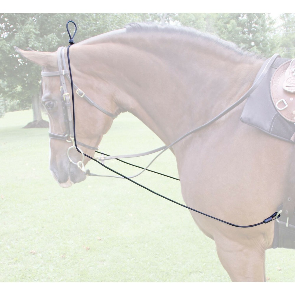 Training Elastic Reins - Elastic Neck Stretcher