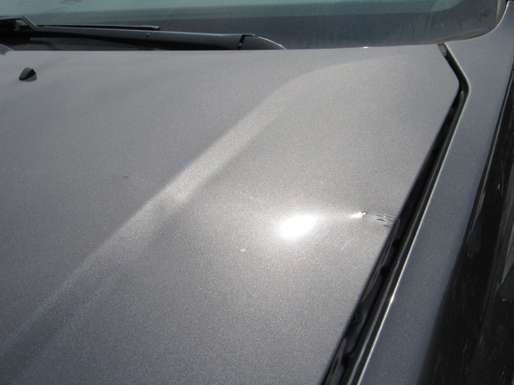 CARAVAN 2019 Glove Box 1068844